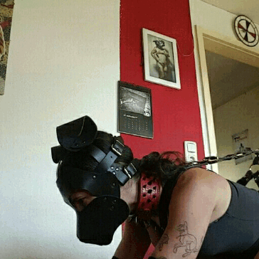 doggy-girl-chilli: Mean attack doggo  Grrrrr.  I’m a fierce doggo x3  But only when the boss says so!!