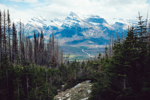 Resolute Mountain. Alberta, Canada. 