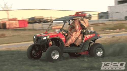 gifsboom:T-Rex Dinosaur STREET RACE. [video]@gallaooc