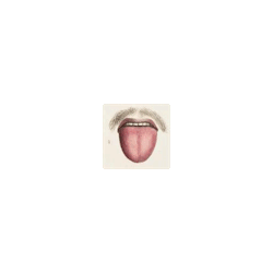 Soberbia-Mentiras