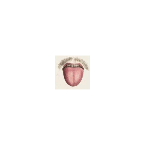 soberbia-mentiras
