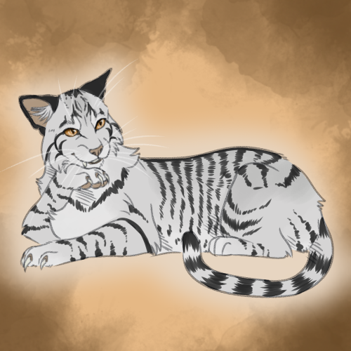 Slugs genetically accurate cats — Tigerstar 2 (Classic black tabby with low  white