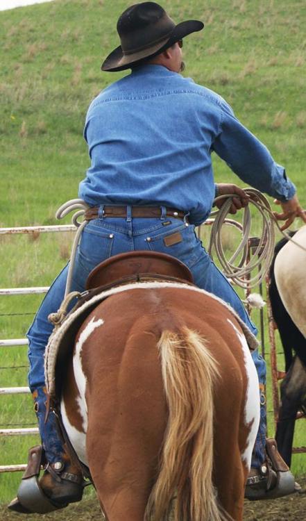 Boss in the saddle. For more cowboys, cowpokes, and ranch hands, visit our archive at www.lifeofacow