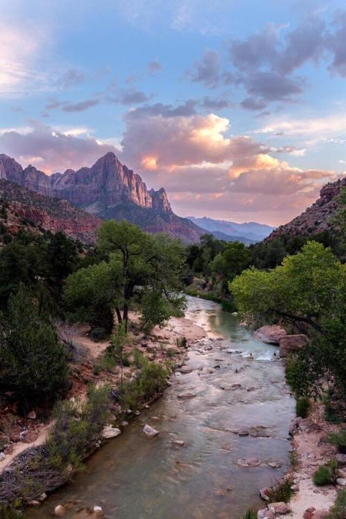 amazinglybeautifulphotography:  Zion National Park, OC [1365x2048] - lthunderfoxl