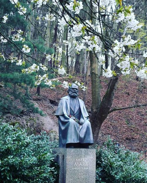 #latergram #statue in the #woods #cherry #blossom #underthecherrytree #spring #karlmarx #marx #karl