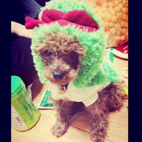 k1692:  bumkeyk yo daddy i think i hate this thing 