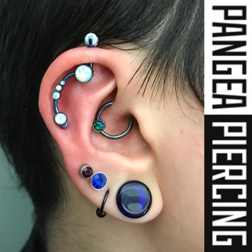 piercingsbycampbell: Check out @rebelwithacause26 ‘s new industrial we put together to celebrate his