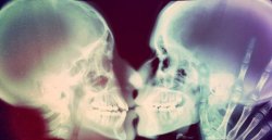 brains-and-bodies:  From Anatomy In Motion    Did You Know: When you kiss someone you can spread up to 278 types of germs! But hey, it’s good for our immune system!&ldquo;Kissing was developed ‘to spread germs’It isn’t the most romantic theory,