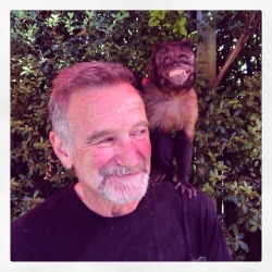 discontent-troll:  Last photo of Robin Williams