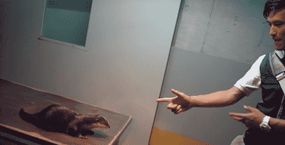 natural&ndash;blues:  amarriageoftrueminds: attentionore:  vicmorrowsghost: 