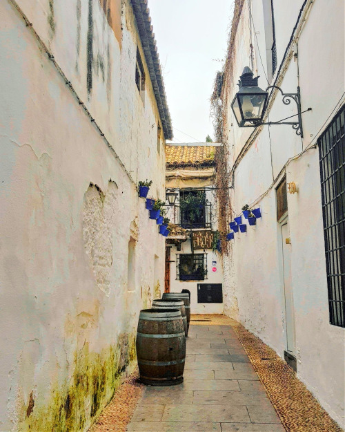 Walking the streets of Andalusia 