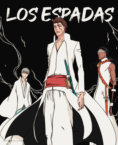 rukiadriedhisrain:Bleach↴Los Espadas 