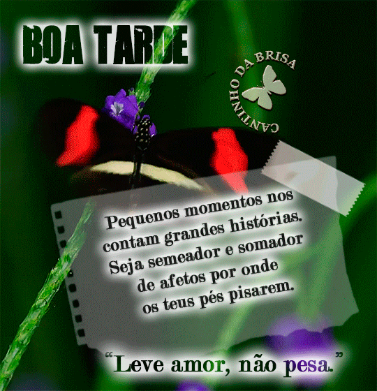 81ab55f24c8f2ea6752631f6c375c65cc158bdc7