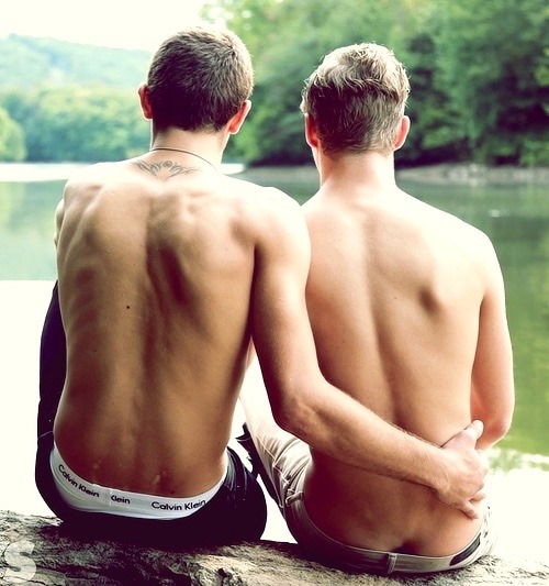 🐧 You Must Be Gay+ To View This Blog*