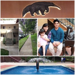 At UCI earlier to TCB. And checked out the apartment with fam and @learymon