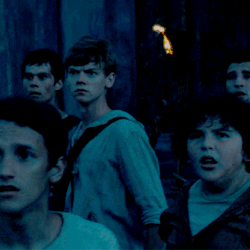 maze-scorch-cure:  Imagine: the other gladers here you scream and they al just look in wonder and they realize something is wrong so they, especially Newt, begin to worry and they quickly run over to you.