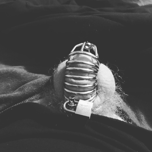 Locked and plugged through the night… #sissyslut #chastity #femdom