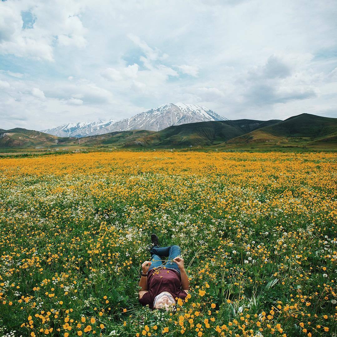 floralls:  Turkey by   ahmet.erdem  