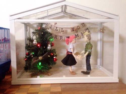 burinazar: jennifer-crow: On December 14th, I proposed to my boyfriend, Conor :-) I made the set, wh