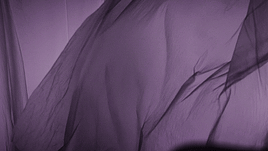 Teen Wolf Meme [1/3] Colours Purple 