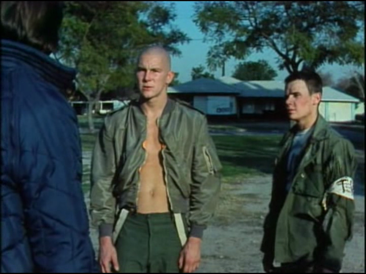 Goodbye Horses