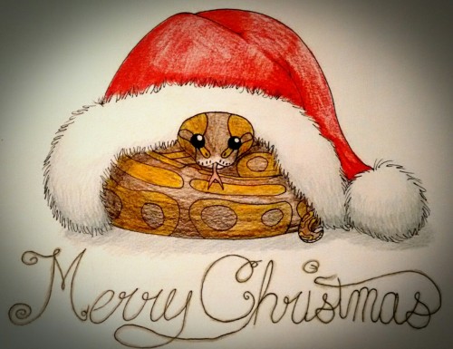 penelopetheretailsnek: Penelope and I would like to wish everyone a merry Christmas and happy holida