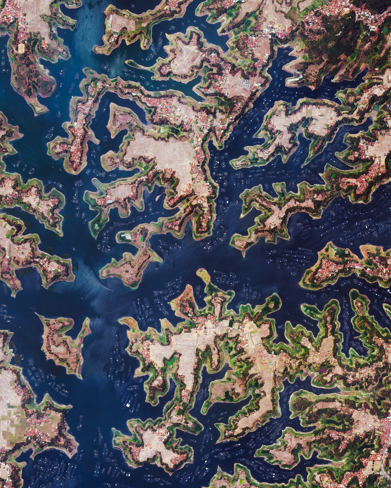 Aquaculture operations are seen along much of the shoreline of the Saguling Dam Reservoir in West Java, Indonesia. Located at the headwater of the Citarum River, the reservoir’s primary purpose is hydroelectric power generation, but it also provides...