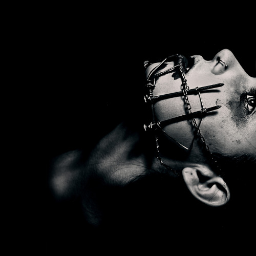 elisebrown:  Twig Capra Photography 