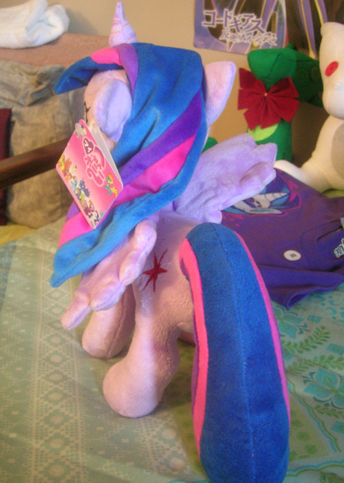 ahhhh guys look at what i got today! an alicorn twilight sparkle plush ;o; i’m sort of a closet fan and twilight has been my favorite pony from the beginning so i’ve always wanted a plush of hers but all the official ones look so inaccurate