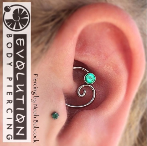 Fresh #daith piercing with jewelry by #anatometal and #evolutionmetalworks with a bit of custom bend
