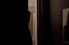 vardaagnes:   Three Colors: White | dir. Krzysztof Kieślowski (1994) 
