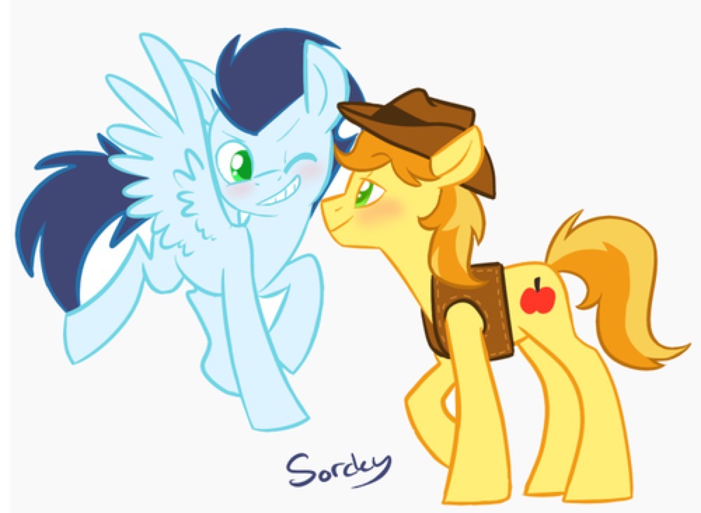 braeburn-corner:official-soarburn:A random collection of soarburn I’ve had in my