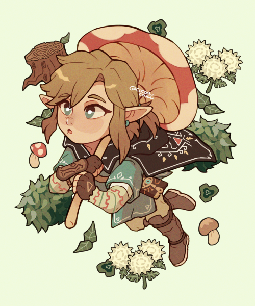 cocoacake:link with mush parasol what will he do 