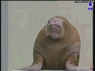 gif-not-jif:  After you realize your professor is staring at you for not paying attention