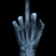 middlefingerseverywhere