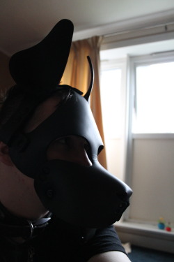 many-names-one-puppy:  Its me Dust. Selfies are so much fun.Just messing around :DWoof 