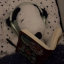 thesmartduck