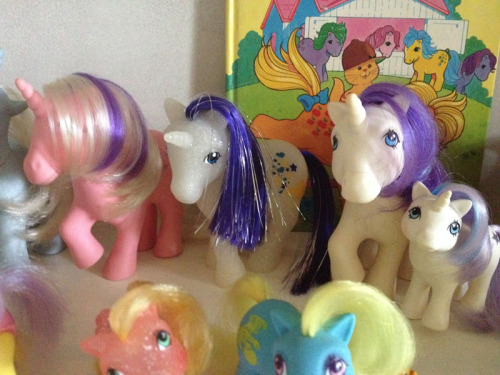 I decided to show off my collection again, as I had gotten some new ponies since I last showed it as