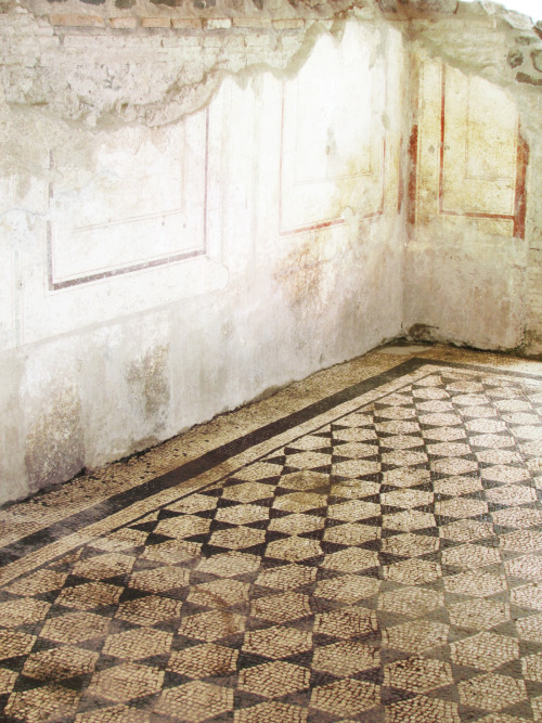 photodox: 04.11 // Mosaics at the Villa of the Quintilii, Rome