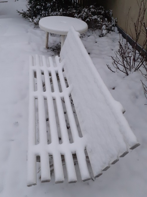 Semaine de neige :cette fois, ça a tenu ! - 02 2021