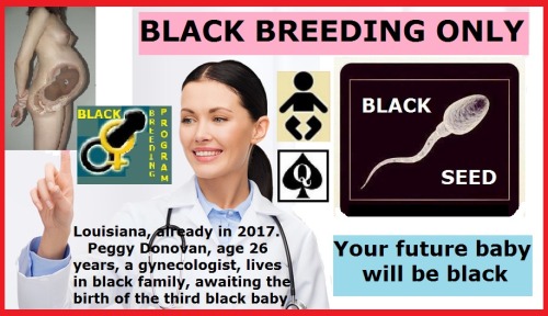 blogblackqueen2016fan:Black breeding program should start already in 2017. Each animal is a white bi