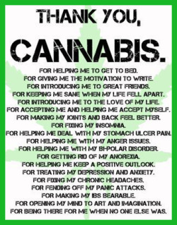 cannabisgizmos:  Thank you Cannabis