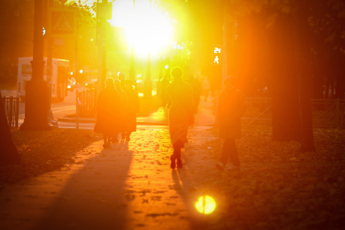 Autumn Halo.Ph:DanSpbinst: @danspbway