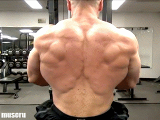 Eat, train, sleep, repeat
