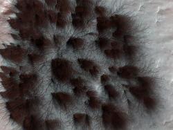 canadian-space-agency:  Starburst pattern seen on Mars surface. Every spring, beautiful terrains erode. See why here.  January 11, 2016. Credit: NASA’s Twitter Account 