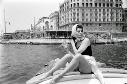 •Sophia Loren•
