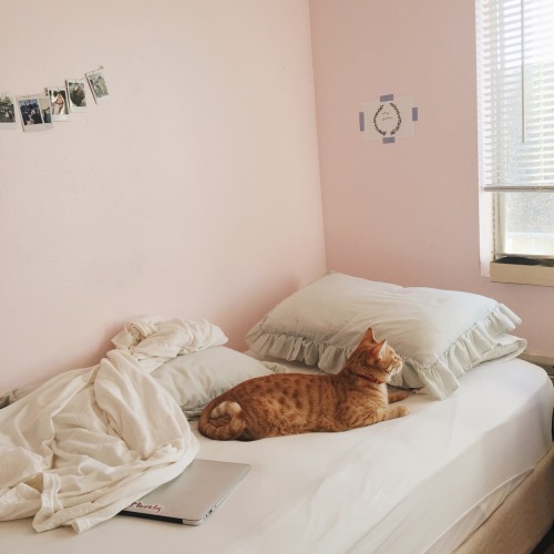 rihannasdiamondflask: Bed ft. a pensive loaf of bread
