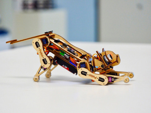 itscolossal:Build Your Own Robotic Cat with An Open Source Kit by Petoi