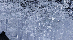 jaimelannistre: Incompetence should not be rewarded with blind loyalty. As long as I have my eyes, I