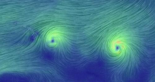 The current wind map off the state of Hawaii, via the global wind map.